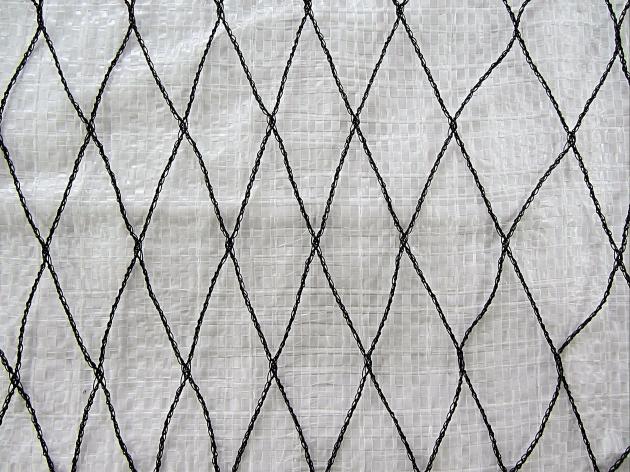 百香果防護網 1